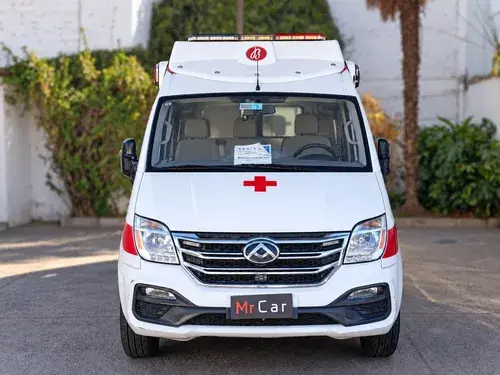 Maxus Ev80 2020 Cargo Van